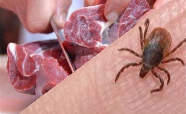 تلفات کرونا در عراق صفر شد؛ موارد ابتلا به تب خونریزی دهنده، به دیالی واقع در غرب ایران رسیده است