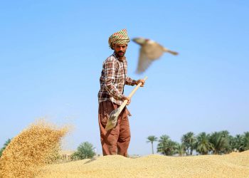 جنجال امنیت غذایی در عراق رنگ و بوی قضایی و سیاسی گرفت