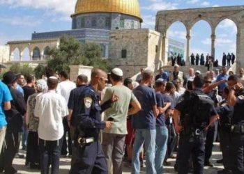 درخواست فلسطین از جامعه بین‌الملل برای رسیدگی به جنایات رژیم صهیونیستی