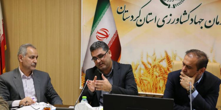 رئیس سازمان جهاد کشاورزی استان کردستان؛ تنها 12درصد اراضی کشاورزری کردستان، آبی است