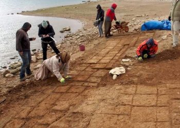 ترکیه، دجله را وادار به اعتراف کرد؛ رونمایی از شهر ۳۴۰۰ ساله عراق و انسان های نئاندرتال