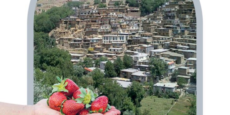 روستای شیان، میزبان سومین جشنواره توت‌فرنگی می‌شود