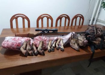 یک میلیارد و 500 میلیون ریال جریمه برای شکارچیان بز وحشی در قروه