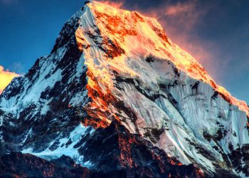 دانشمندان اسرار حیات وحش قله اورست را کشف کردند