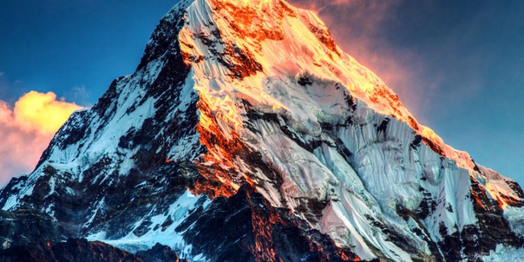دانشمندان اسرار حیات وحش قله اورست را کشف کردند