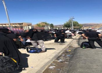 استقبال از زائران اربعین در سلیمانیه