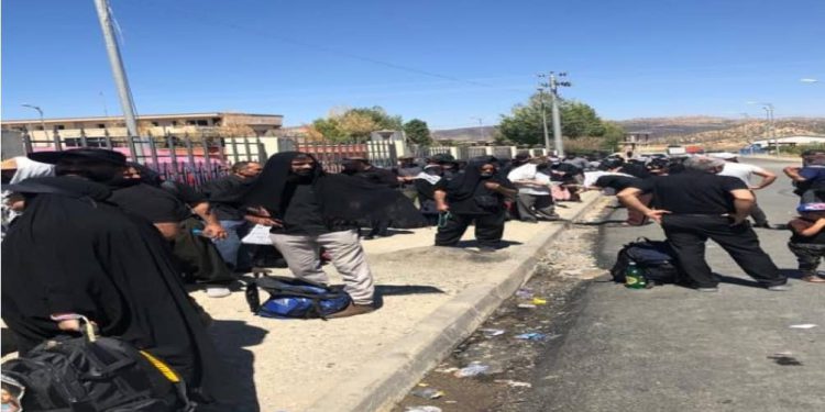 استقبال از زائران اربعین در سلیمانیه