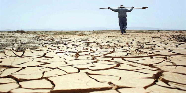 خسارت 10 هزار و ۷۰۰ میلیارد تومانی خشکسالی به کشاورزی کرمانشاه
