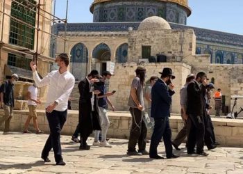 هشدار مصر و سازمان ملل متحد به رژیم صهیونیستی درخصوص هتک حرمت به مسجد الاقصی