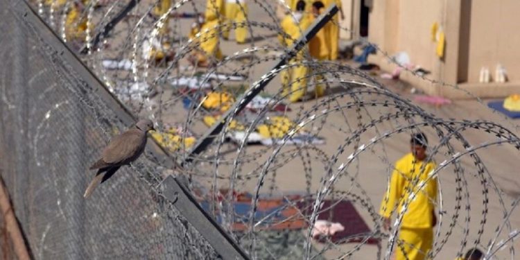 ائتلاف الفتح عراق هشدار داد: قانون عفو عمومی باعث آزادی ۳۵ هزار تروریست می‌شود