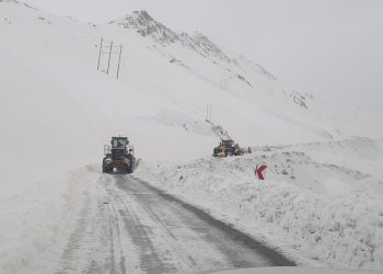 بارش یک متری برف در گردنه ژالانه/ بیش از ۲۰۰ خورودی گرفتار رهاسازی شد