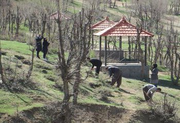 بذرکاری ٣٠ هکتار از جنگل‌های سردشت