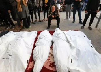 آمار شهدای غزه از ۲۹ هزار و ۶۰۰ نفر گذشت