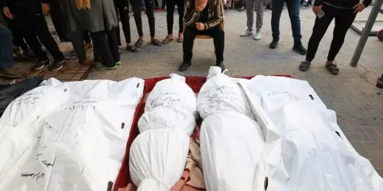 آمار شهدای غزه از ۲۹ هزار و ۶۰۰ نفر گذشت