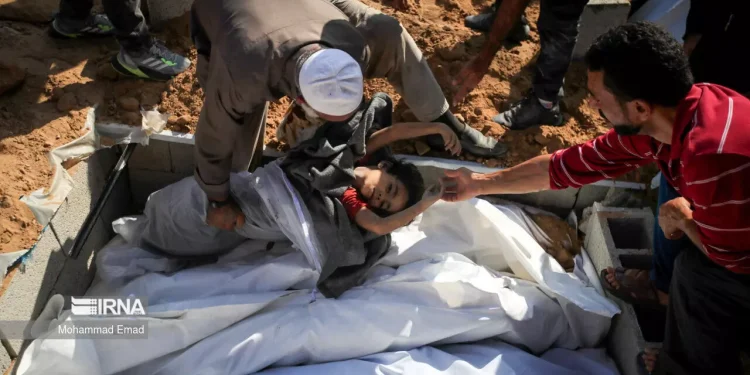 سازمان ملل: شمار غیرنظامیان کشته شده در غزه بی‌سابقه است