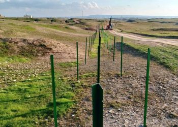 عراق در امتداد مرز با ایران سیم خاردار می کشد