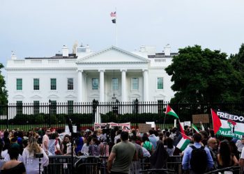 نگرانی کاخ سفید از یک تظاهرات عظیم در حمایت از مردم فلسطین