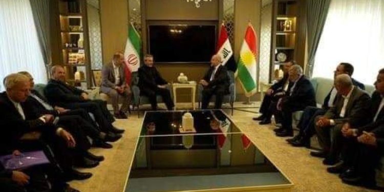 رایزنی باقریکنی و رئیس جمهور سابق عراق