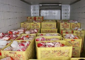 کشف و ضبط محمولەی مرغ قاچاق در مرز باشماق مریوان