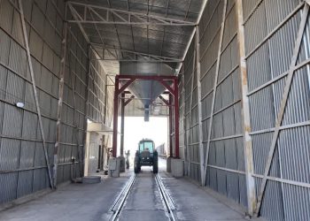 رشد ۱۴۲ درصدی حمل ریلی گندم کرمانشاه نسبت سال گذشته