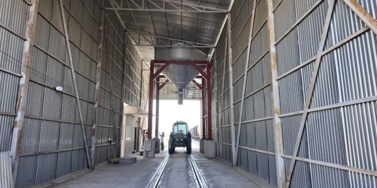 رشد ۱۴۲ درصدی حمل ریلی گندم کرمانشاه نسبت سال گذشته