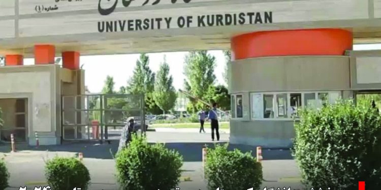 نشانی پیج اینستاگرام جام کوردی