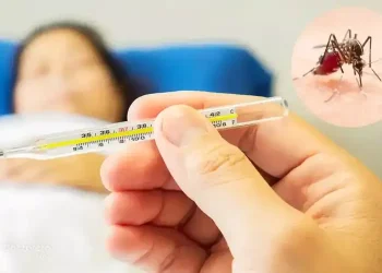 در استان کردستان موردی از ابتلا به تب دنگی مشاهده نشده است