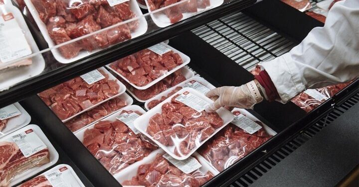 رشد ۴۳ درصدی صدور مجوز صادرات محصولات دامی کردستان