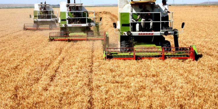 ۳۳ طرح کشاورزی با اشتغالزایی ۷۱۳ نفر در کرمانشاه آمادەی افتتاح است