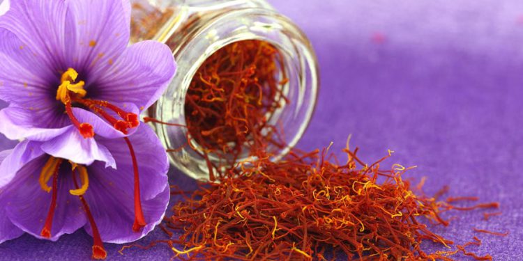 زعفران می تواند به محصول صادراتی ارزشمندی برای کرمانشاه تبدیل شود