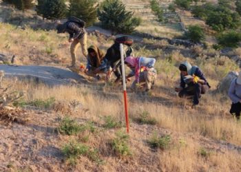 کشف سکونتگاه یک میلیون ساله در کرمانشاه