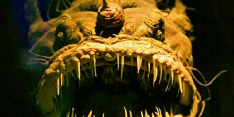 دیوماهی ترسناکترین و عجیبترین ماهی دنیا