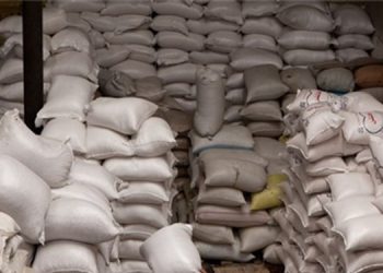 دستگیری باند قاچاق آرد و گندم در کرمانشاه/ قاچاق بیش ۴۰ هزار کیسه آرد یارانه‌ای