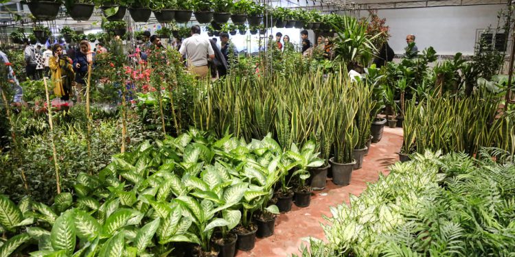 آغاز به کار سیزدهمین نمایشگاه بین‌المللی گل و گیاه در کرمانشاه