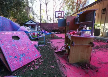 آیا مواد پودری صورتی‌ رنگ که روی آتش لس‌آنجلس ریخته می‌شود، بی خطر است؟