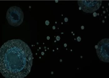 ابداع سلاح‌های کوچک ضد سرطان