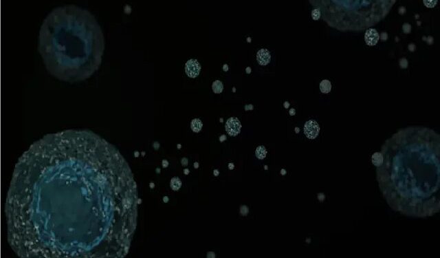 ابداع سلاح‌های کوچک ضد سرطان