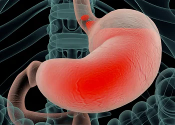 اسید معده قدرت حل فلزات را دارد، اما چگونه بافت معده را از بین نمی‌برد؟