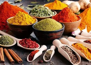 ارائه توصیه‌های تغذیه‌ای برای مبتلا نشدن به بیماری‌های تنفسی / بدن یک هوش مدبر دارد