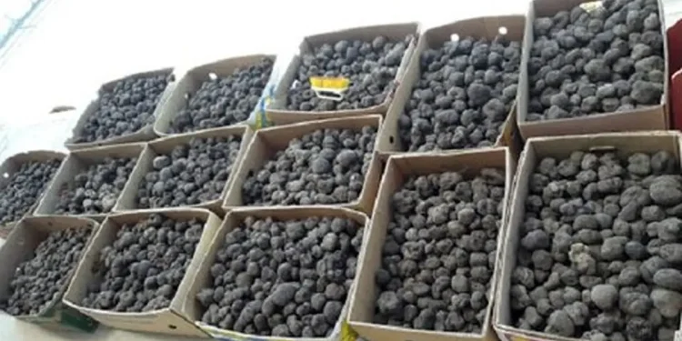 ۹ میلیارد و ۵۰۰ میلیون ریال جزای نقدی برای قاچاقچی قارچ در کردستان