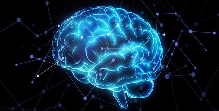 مغز توانایی ترمیم خود را دارد،اما التهاب این فرآیند را مختل میکند