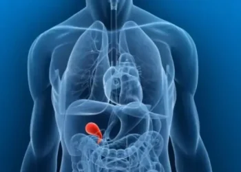 کیسه صفرا چیست؟