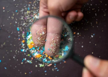 آیا ریزپلاستیک‌ها می توانند جریان خون در مغز را مسدود ‌کنند؟