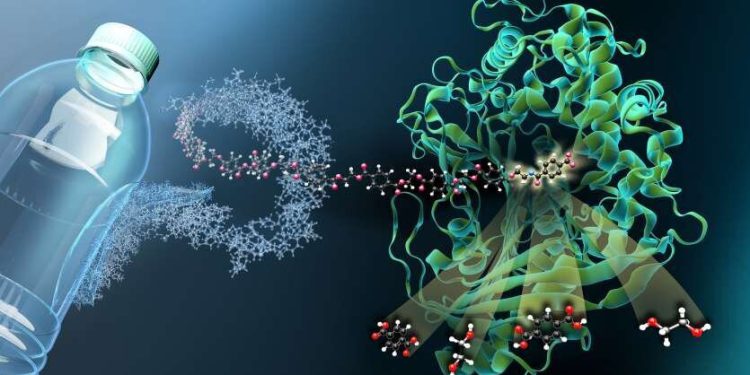 آنزیمی که پلاستیکها را میبلعد/ گامی بزرگ در راستای حل بحرانهای زیستمحیطی پلاستیک