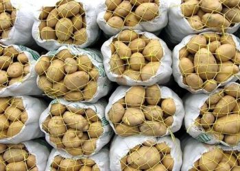 کشف ۲ میلیون کیلوگرم سیب زمینی  احتکاری در روانسر