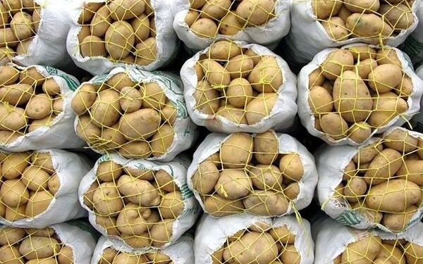 کشف ۲ میلیون کیلوگرم سیب زمینی احتکاری در روانسر