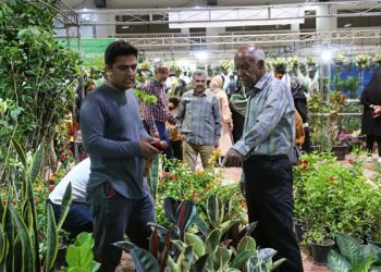 نقدی بر برپایی سیزدهمین نمایشگاه سراسری گل و گیاه در کرمانشاه