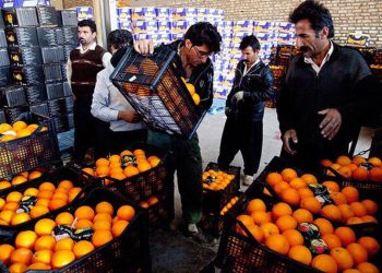 خروجی نظارت‌ها بر بازار را باید مردم ببینند/ نباید در محصولی مانند سیب زمینی نیز غافلگیر شویم