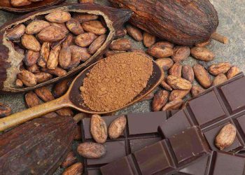 احتمال استفاده از روغن‌ پالم در محصولات شکلاتی حاوی روغن‌های جایگزین