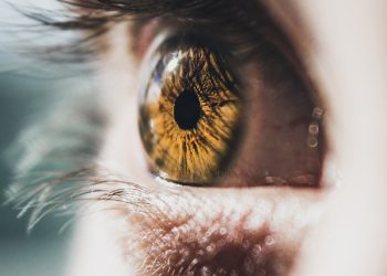 سلول‌های بنیادی به کمک قرنیه آسیب دیده می آیند